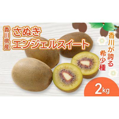 ふるさと納税 丸亀市 先行受付 さぬきエンジェルスイート 約2kg キウイフルーツ 香川県 丸亀市 発送11月上旬〜