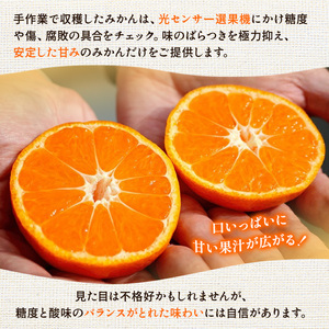 〈定期便〉【10・11・12月 全3回】家庭用 有田みかん定期便 1kg+250g（傷み補償分）※北海道・沖縄・離島への配送不可