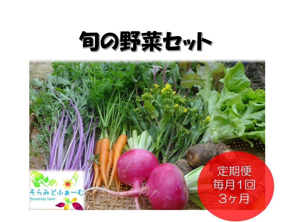 
            【定期便】(全3回)旬のお野菜8品詰め合わせ
          