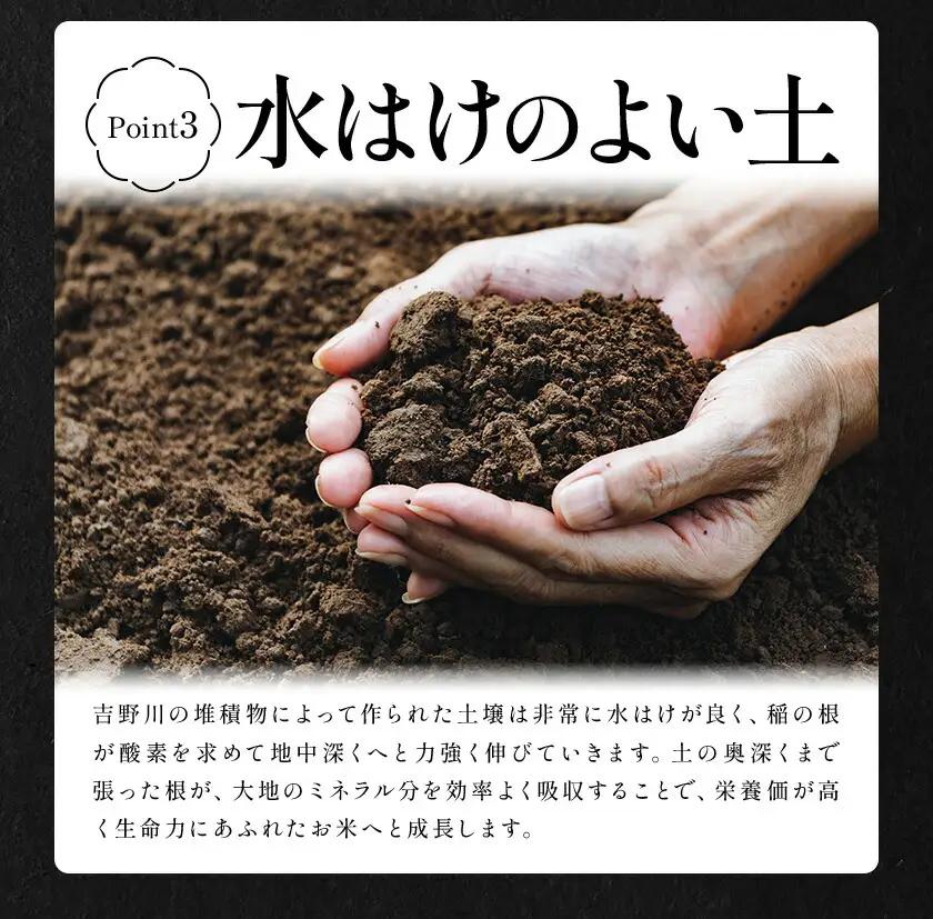 【7月上旬発送】徳島ふるさと実り米 精米 20kg 