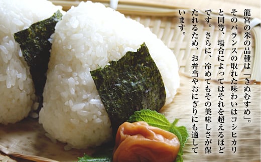 龍宮の米 淡路島産 海藻肥料栽培米 5.0kg【2025年10月より順次発送】　[精米  白米]