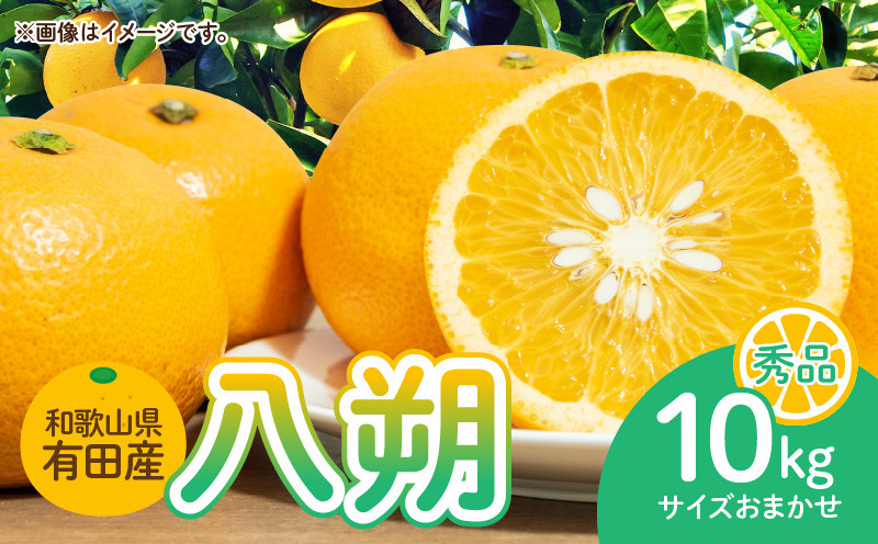 
                  DI6014n_和歌山県有田産 八朔 10kg 秀品
                