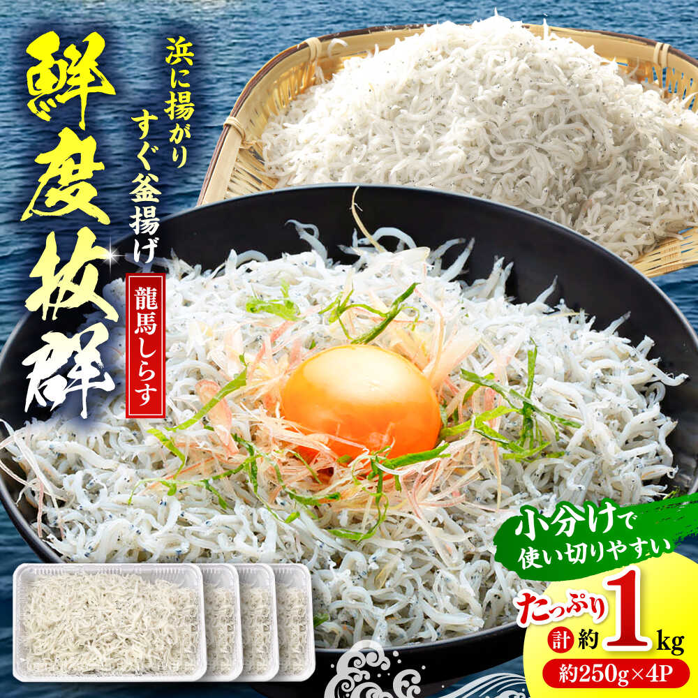 【ふるさと納税】【最速発送】釜揚げ龍馬しらす 約250g×4パック　【株式会社　七和】[ATAX018]　スピード 最短 最速 発送