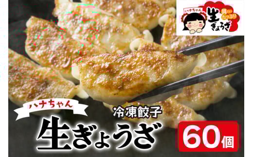ハナちゃん生ぎょうざ 冷凍餃子 60個セット｜無添加 国産素材 生ぎょうざ 冷凍餃子 おかず  [0093]