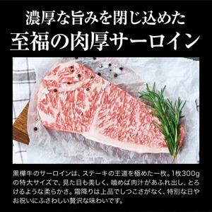 くまもと黒毛和牛 黒樺牛 A4～A5等級 肉厚サーロインステーキ 600g 株式会社杉本本店 《90日以内に出荷(土日祝除く)》熊本県 菊池市 特大 牛肉 牛 肉厚 お肉 ステーキ 黒毛和牛 国産 九
