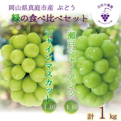 【ふるさと納税】岡山　花笑み農園の『シャインマスカット&瀬戸ジャイアンツ』1kg(2房)　GS-1【配送不可地域：離島】【1491704】