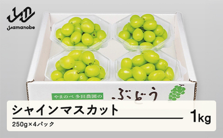 《先行予約》シャインマスカット ダイヤパック 250g×4パック やまのべ多田農園のぶどう ブドウ F21A-313