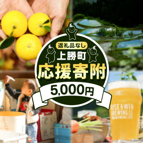 【ふるさと納税】徳島県 上勝町 応援寄附 1口 5000円【返礼品なし】