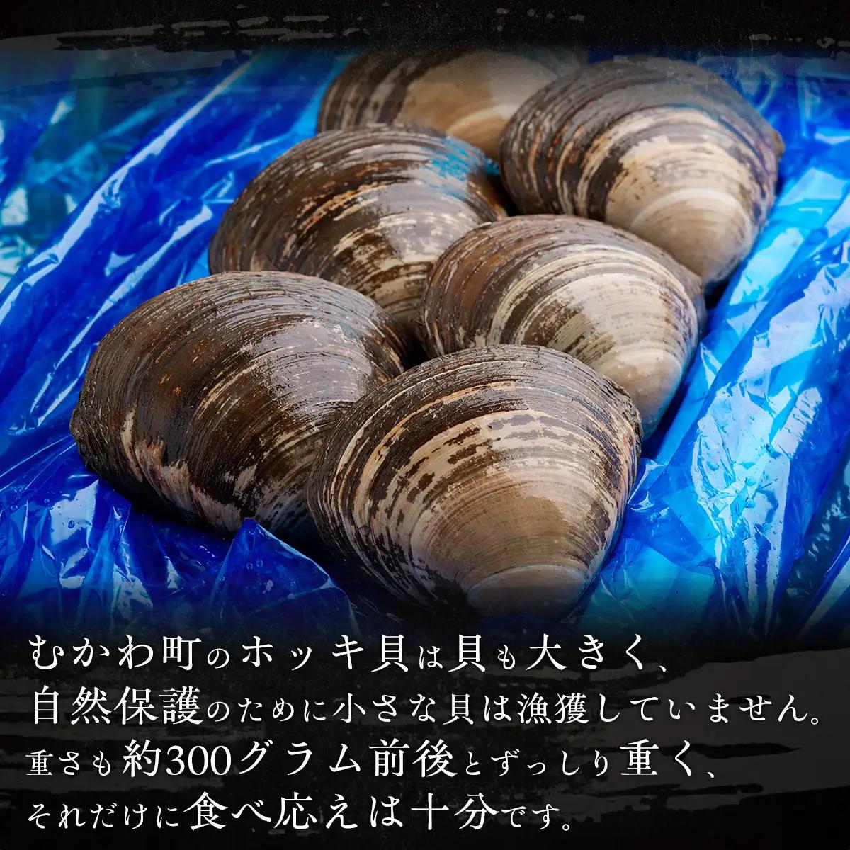 鵡川漁協発!特選ホッキ貝(1.2kg) MKWV003