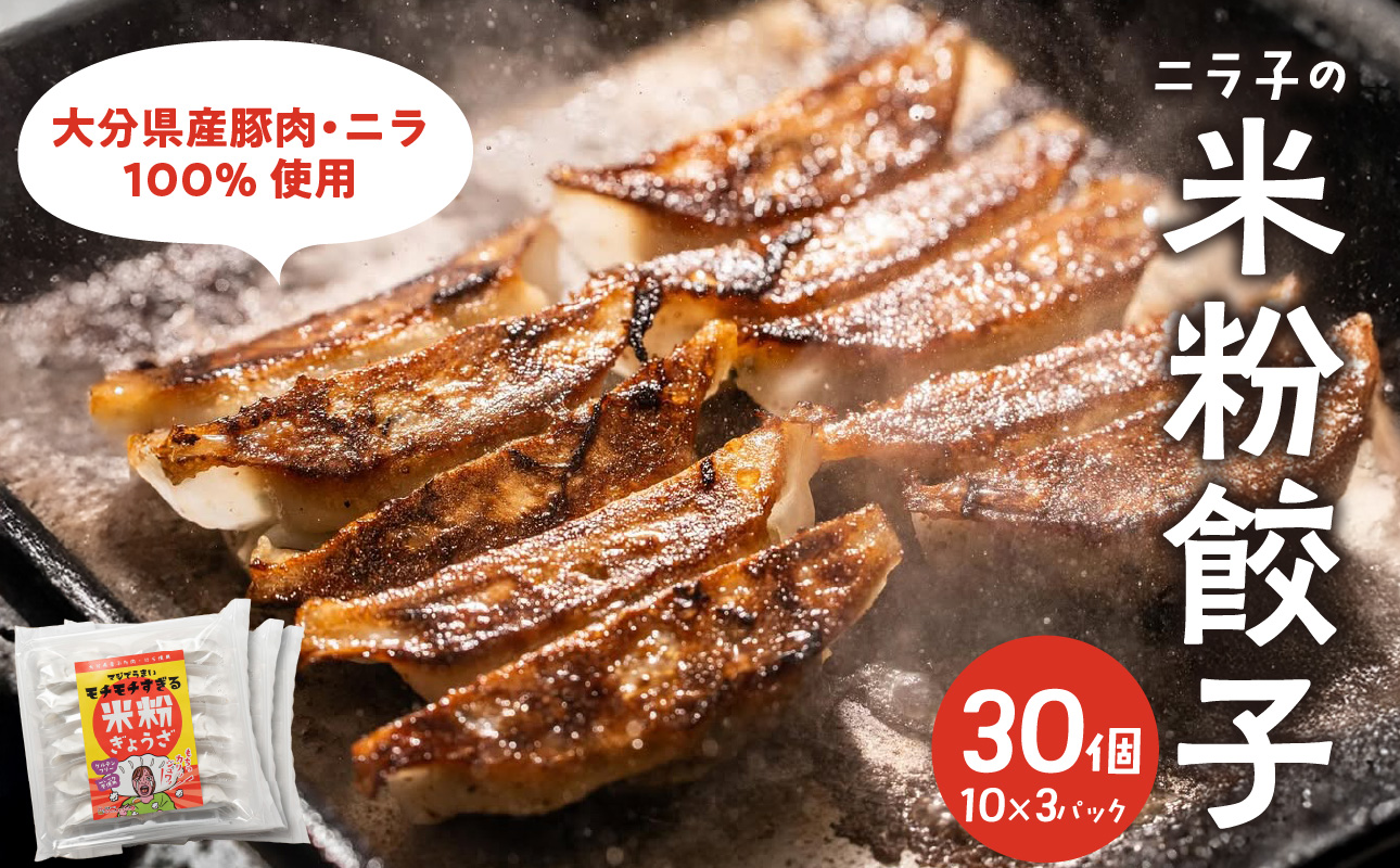 【A02037】マジでうまい！モチモチすぎるニラ子の米粉ぎょうざ 大分県産豚肉・にら100%使用(ニラ醤油タレ付) 10個入り3パック