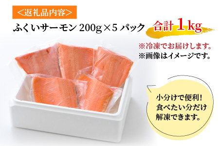 国産 ふくいサーモン 200g × 5パック 計1kg  刺身 サケ 鮭[C-001004]