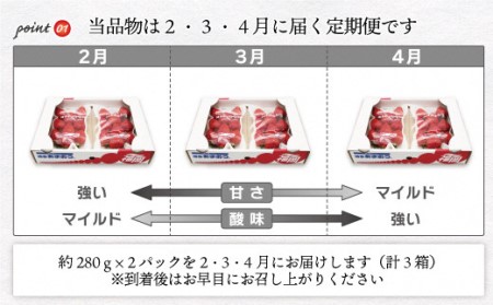 博多あまおう2パック3回定期便【2025年2～4月】約560g×3回[F5352]