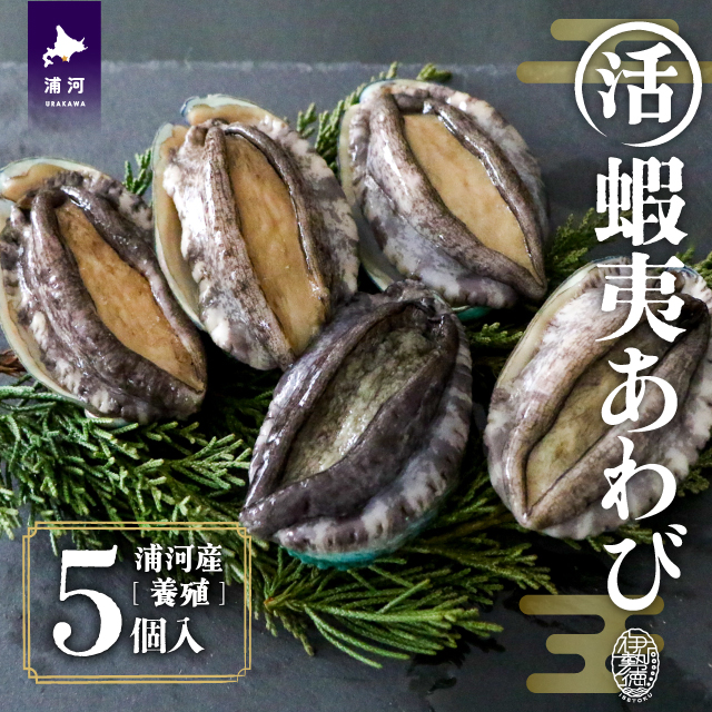 【12月発送！】活蝦夷あわび×5個[46-1344]
