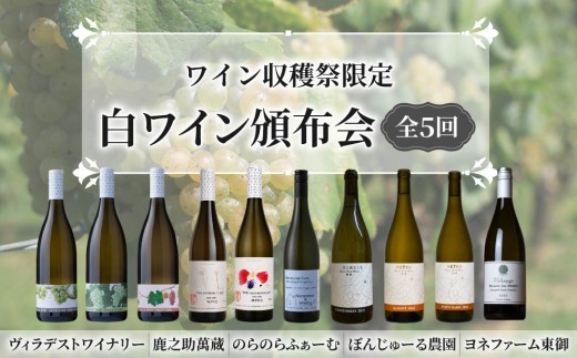 【とうみワイン収穫祭限定！】白ワイン頒布会　全５回｜ヴィラデストワイナリー 鹿之助萬蔵 のらのらふぁーむ ぼんじゅーる農園醸造所 ヨネファーム東御