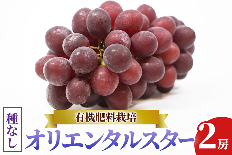 
            齋弥果樹園 オリエンタルスター 秋田県産 約1kg
          