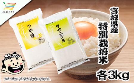 元気くん市場  宮城の美味しいお米食べ比べセット（Ｂ）【mygs008】