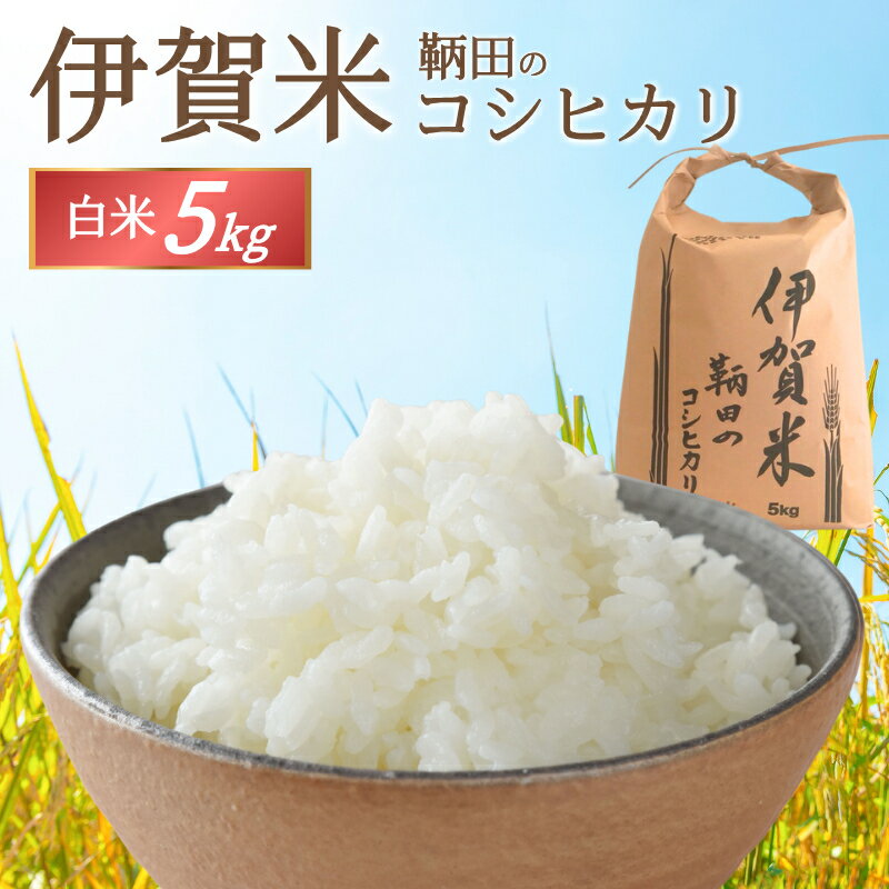 【ふるさと納税】令和7年度産 伊賀米 鞆田のコシヒカリ 白米 5kg