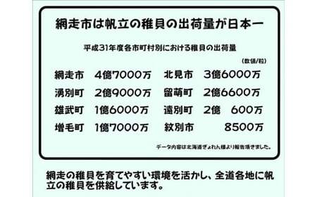 オホーツク産 冷凍帆立（ほたて）の貝柱 ４Ｓサイズ１kg ABX070