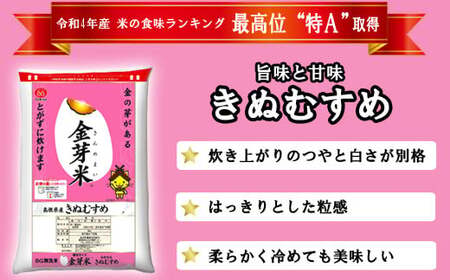 BG無洗米・金芽米きぬむすめ 10kg （5kg×2袋）計量カップ無し【令和7年産 節水 健康 ビタミン ミネラル つや お弁当 おいしい うまみ 甘み ふっくら 簡単 島根県 安来市】