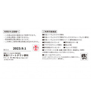 東急リゾートタウン蓼科利用券(1,000円分×9枚)2025年9月1日から6か月間有効チケット_旅行券・チケット     旅行券・チケット 宿泊商品券 宿泊券 _【1414689】
