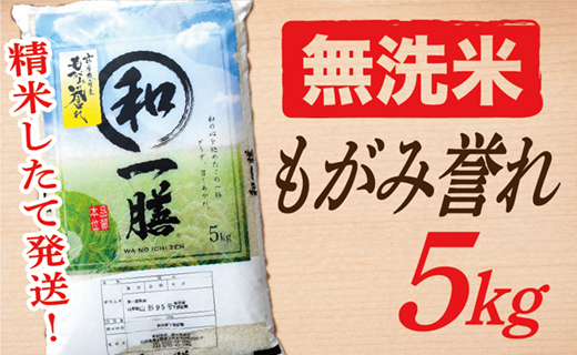 【令和7年産】【希少品種】【無洗米】山形県産もがみ誉れ5kg