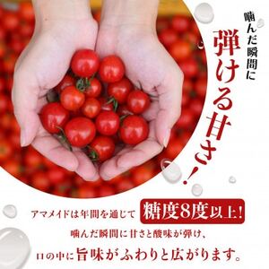 ミニトマト １kg 糖度８以上 アマメイド 野菜（EW001-SJ）