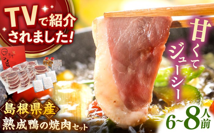 
                  ＼スピード配送／ 鴨肉 テレビ番組で紹介されました！島根県産野草ミネラル熟成鴨の焼肉セット（6～8人前）【美味しい食べ方レシピ付き】かも カモ kamo 焼肉 しゃぶしゃぶ 島根県雲南市/鴨専門店カナール [AIDC005]
                