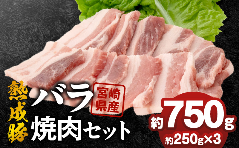宮崎県産熟成豚 バラ焼肉セット 約250g×3個 N0105-YA6605
