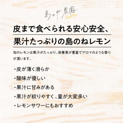 ふるさと納税 今治市 【訳あり】島のねレモン　2.5kg 【K001600】 |  | 01