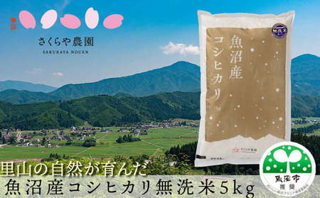 【令和6年産　新米先行受付】【令和6年産】さくらや農園 魚沼産コシヒカリ 無洗米5kg 米 こめ お米 コメ こしひかり 無洗米 新潟県 魚沼市 魚沼