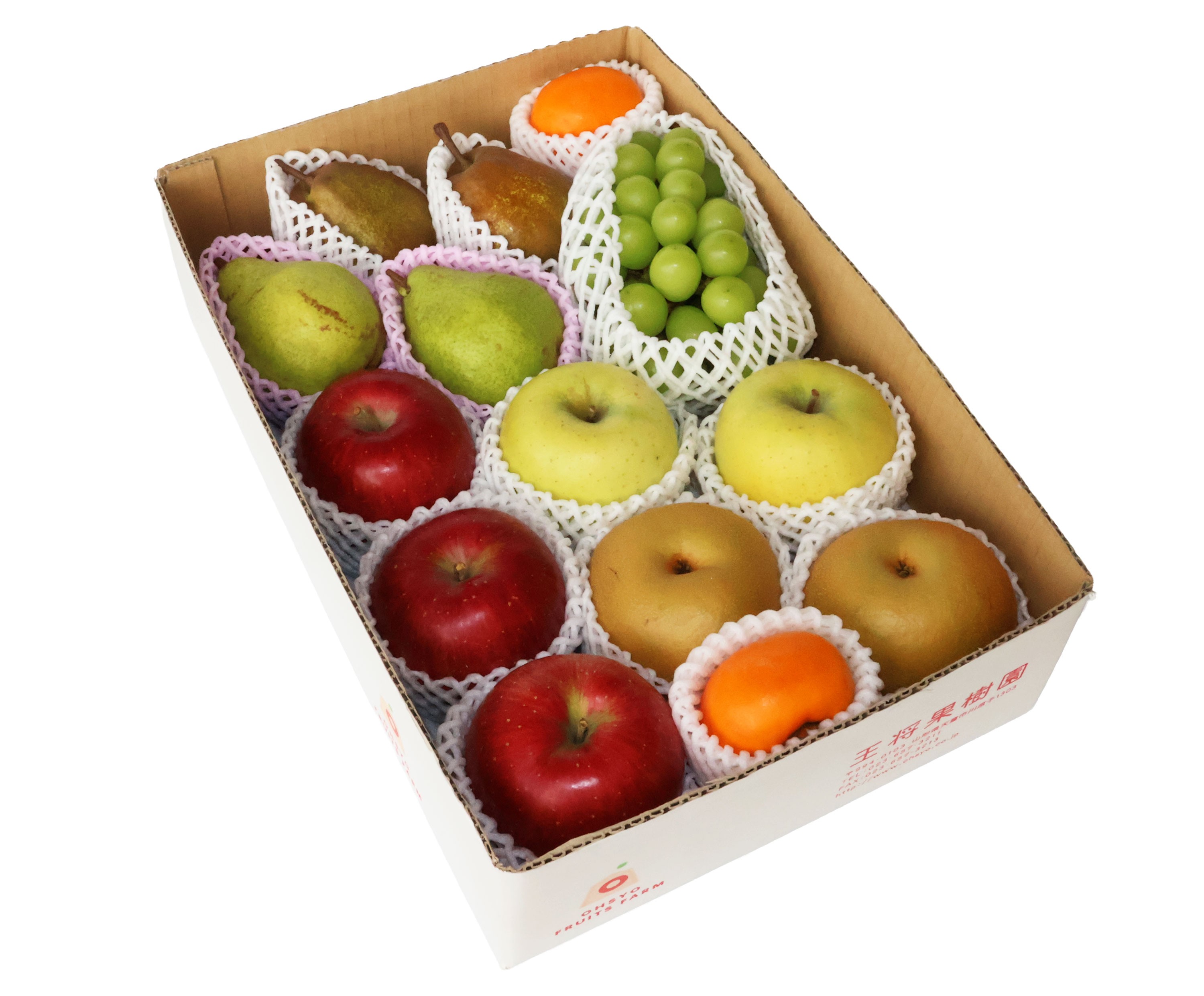 
            08-03-025　季節のフルーツ詰合せ(10月分)約5kg
          