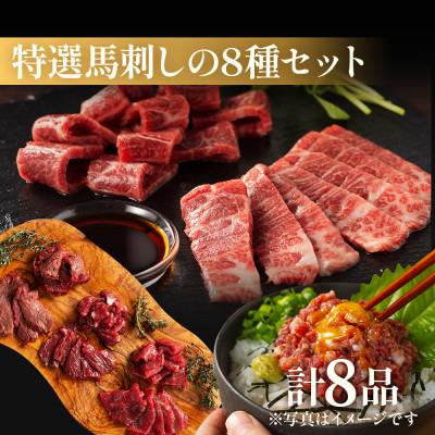 ふるさと納税 八代市 「熊本特産」フジチクオリジナル 特選馬刺しの8種セット(八代市)