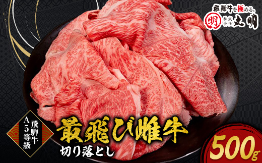
                  ＜最飛び雌牛＞飛騨牛A5等級切り落とし　500g_ 牛肉 肉 飛騨牛 国産牛 ブランド牛 岐阜 切り落とし すき焼き しゃぶしゃぶ 人気 おすすめ ギフト 贈答 送料無料 A5 最飛び雌牛 【1520150】
                