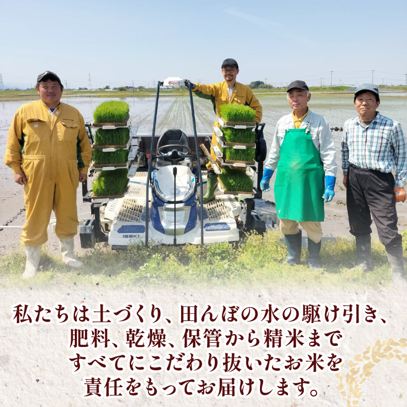 餅 お餅 もち えちごへいや 杵つき餅 バラエティセット 年内発送 もち 季節限定 正月 おせち もち 草もち 豆もち よもぎ くるみ エビ えび 海老 コシヒカリ 米 防災 備蓄 保存食 非常食 正