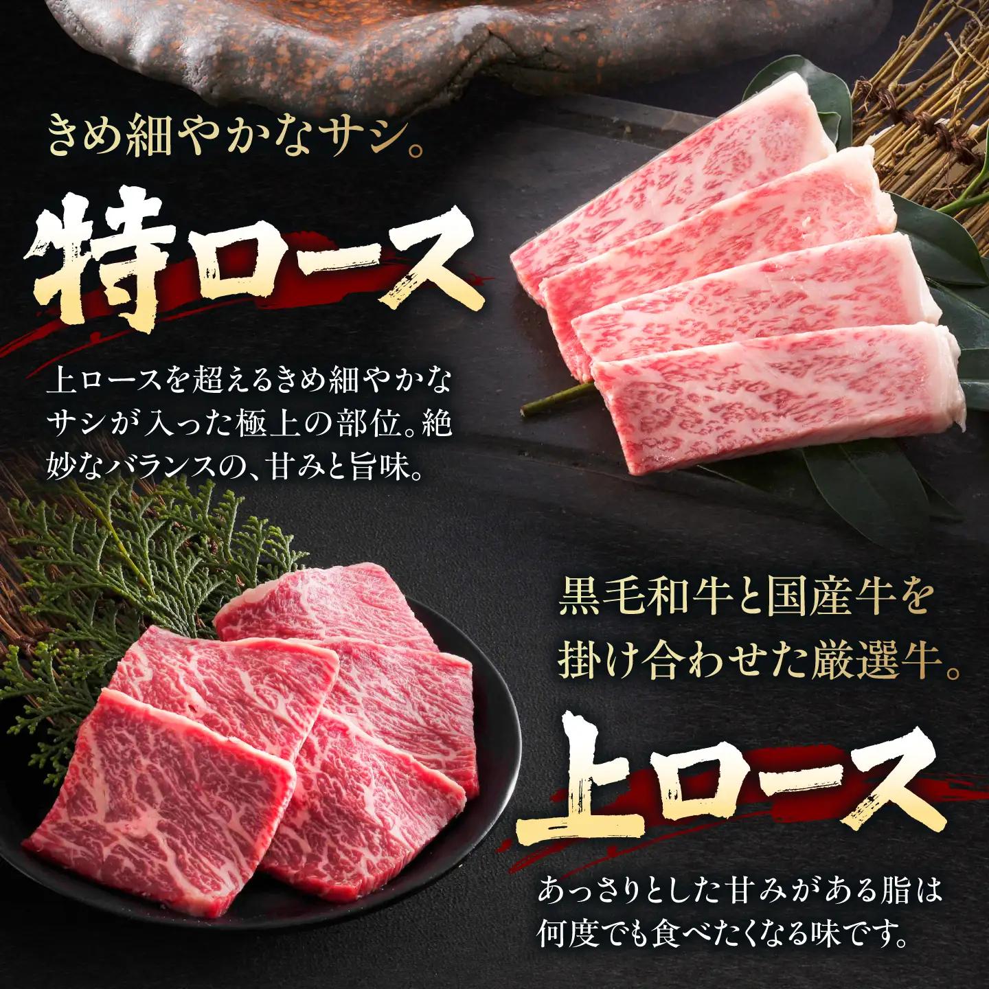 【全12回定期便】焼肉セット 最 1kg / 肉 牛肉 牛 焼肉 焼き肉 やきにく BBQ バーベキュー キャンプ アウトドア 鉄板焼き セット 詰め合わせ 食べ比べ 国産 冷凍 小分け ロース ハラ