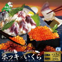 【ふるさと納税】天然 鮭いくら醤油漬け 250g と 天然ボイルホッキ貝 大玉1kg（14粒前後） 野付漁協 【be018-0129】 秋 旬