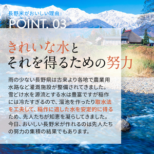 【令和7年度産】長野県産 コシヒカリ 5kg（精米） | 米 こめ コメ お米 白米 はくまい 精米 無洗米 コシヒカリ 長野県 松川村 信州