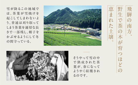 金飛騨茶 57577（ほうじ茶）飛騨金山産 （40g×2箱）【94-2】