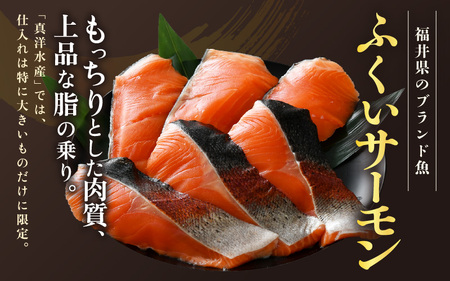 《定期便3回》ふくいサーモン 切り身 100g×6切 計600g ＜鮮度抜群！真空冷凍＞ ／ 生食OK 刺身 焼き魚 鮭 国産 [aw002-f002]