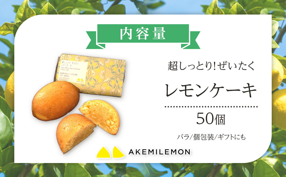 お菓子　レモンケーキ50個（バラ） ギフト 個包装 スイーツ ケーキ  焼き菓子