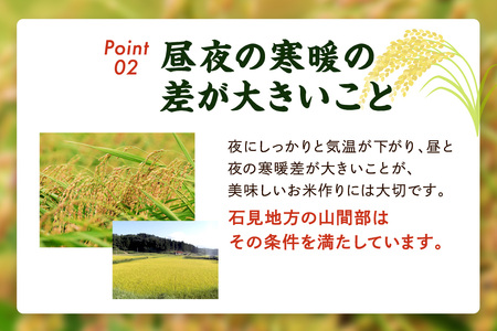 【定期便】【令和5年産】石見産きぬむすめ 1年分 60kg 12ヶ月（5kg×12回コース） おいしさ自慢のお米 お取り寄せ 特産 お米 精米 白米 ごはん ご飯 コメ 新生活 応援 準備 【237】