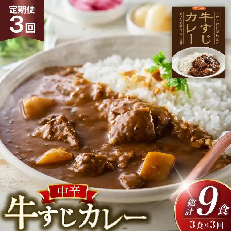 牛すじ カレー 3食 セット 中辛 3回 定期便 [カレー工房NVfoods 長崎県 平戸市 hr42bgy400229]