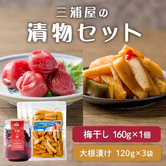 【ふるさと納税】三浦屋の漬物2種セット むげんぱりぱり大根しょうゆ漬け(120g×3袋) 昔ながらのしょっぱい梅干し(160g×1個) 大根漬け だいこん漬け うめぼし 梅 塩 赤しそ 漬物 漬け物 おかず おつまみ お茶請け お弁当 ご飯のお供 【三浦屋】ta528