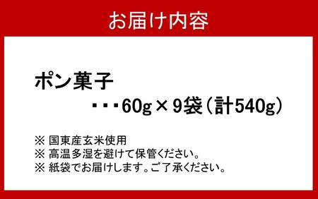 2384R_昔なつかしのポン菓子 60g×9袋 計540g