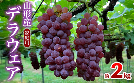 【家庭用】デラウェア 約2kg 12～16房 FZ26-730