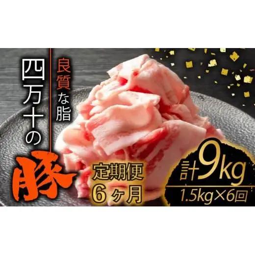 【 6ヶ月定期便 】 豚肉定期便 全6回 計9kg （1.5kg×6ヶ月) 6ヶ月定期便