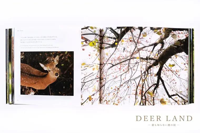 奈良の鹿 写真集「DEER LAND 誰も知らない鹿の国」 2作目 オールカラー サイン入り KAZUTO PHOTO OFFICE 佐藤和斗 I-192