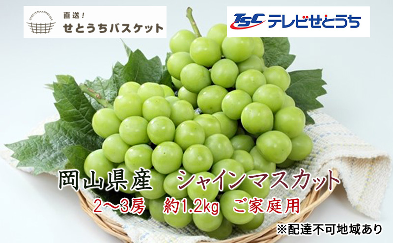 ぶどう 2025年 先行予約 ご家庭用 シャイン マスカット 2～3房 約1.2kg ブドウ 葡萄 岡山県産 国産 フルーツ 果物 直送！せとうちバスケット