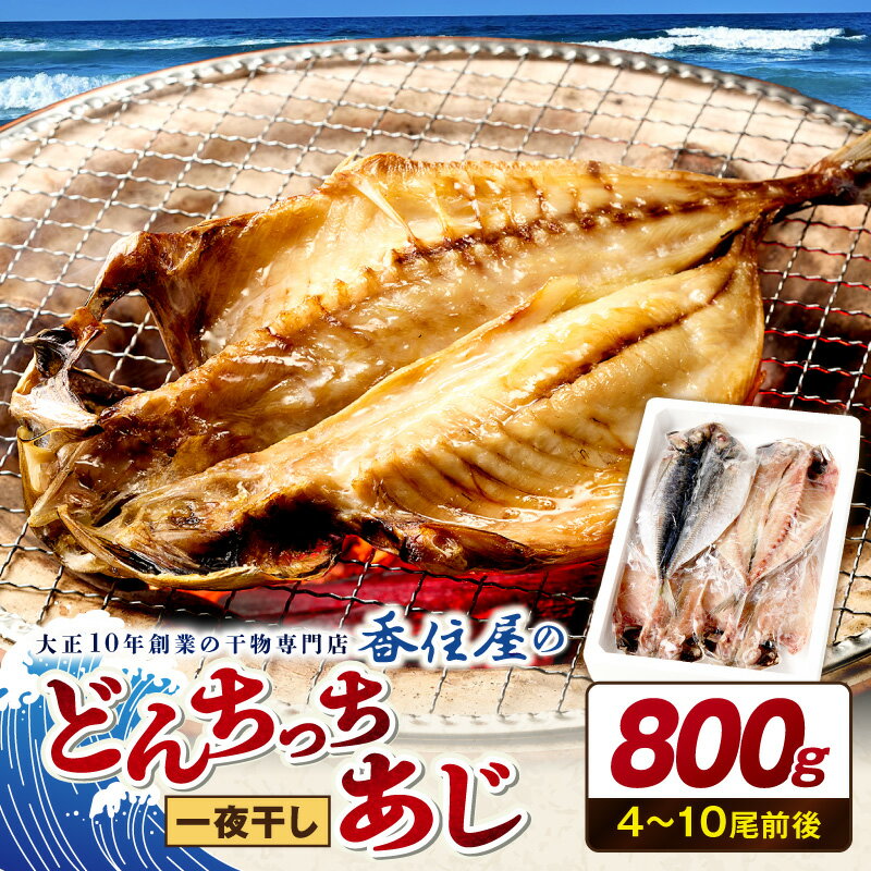 【ふるさと納税】山陰浜田 創業大正10年香住屋のこだわり干物「どんちっちあじ一夜干し」 魚介類 干物 おつまみ おかず あじ ふるさと納税 一夜干し 【024_1992】