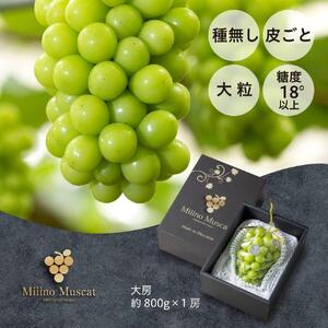 シャイン マスカット 2026年 「MiiinoMuscat」1房（約800g）ブドウ 葡萄  岡山 国産 フルーツ 果物 ギフト